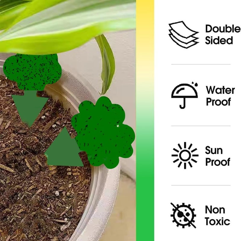 Cleanuper 58 Pack Flying Insect Traps for Plants – Green Sticky Traps for Fungus Gnats, Flies & Flying Bugs, Indoor Outdoor Flying Bug Catcher for Pots, Garden & Kitchen, Non-Toxic, Odorless, Kid & Pet Safe - Image 4